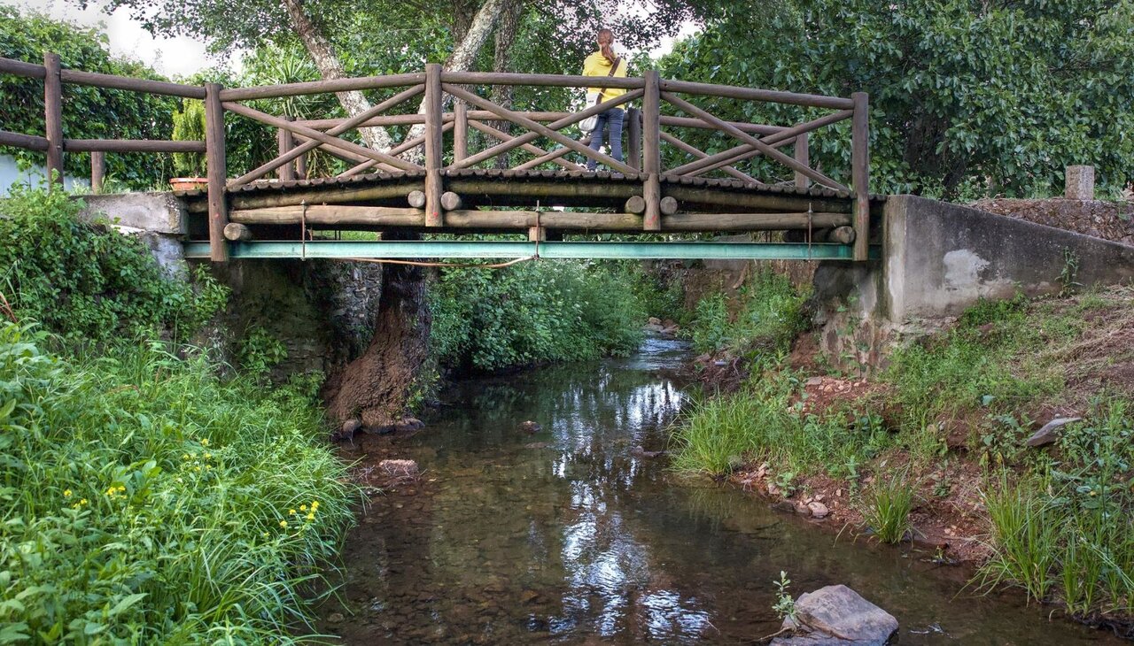 کوچکترین پل بینالمللی جهان کجاست؟