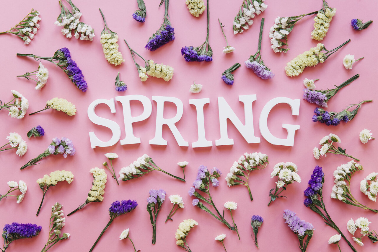 تبریک فرا رسیدن فصل بهار + عکس، متن، پیام و اس ام اس تبریک ۱۴۰۳