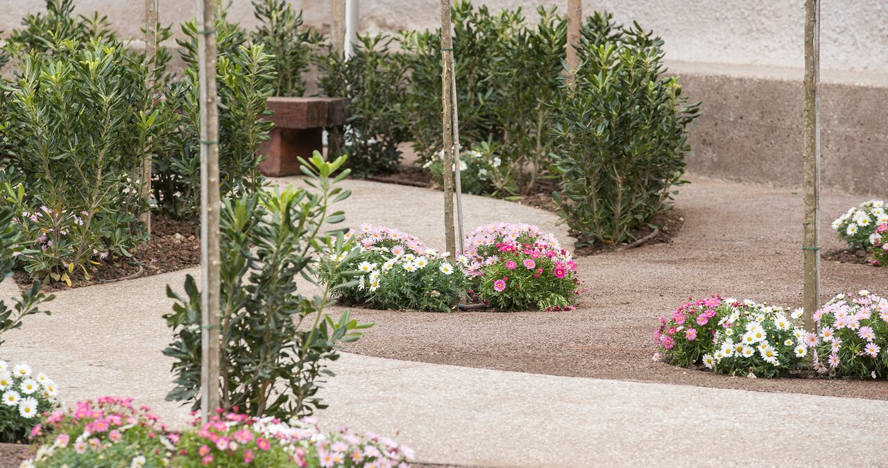 آتن یونان، مبتکر و مروج پارکهای پاکتی