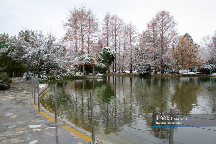 هر هفته با یک منطقه | منطقه 4