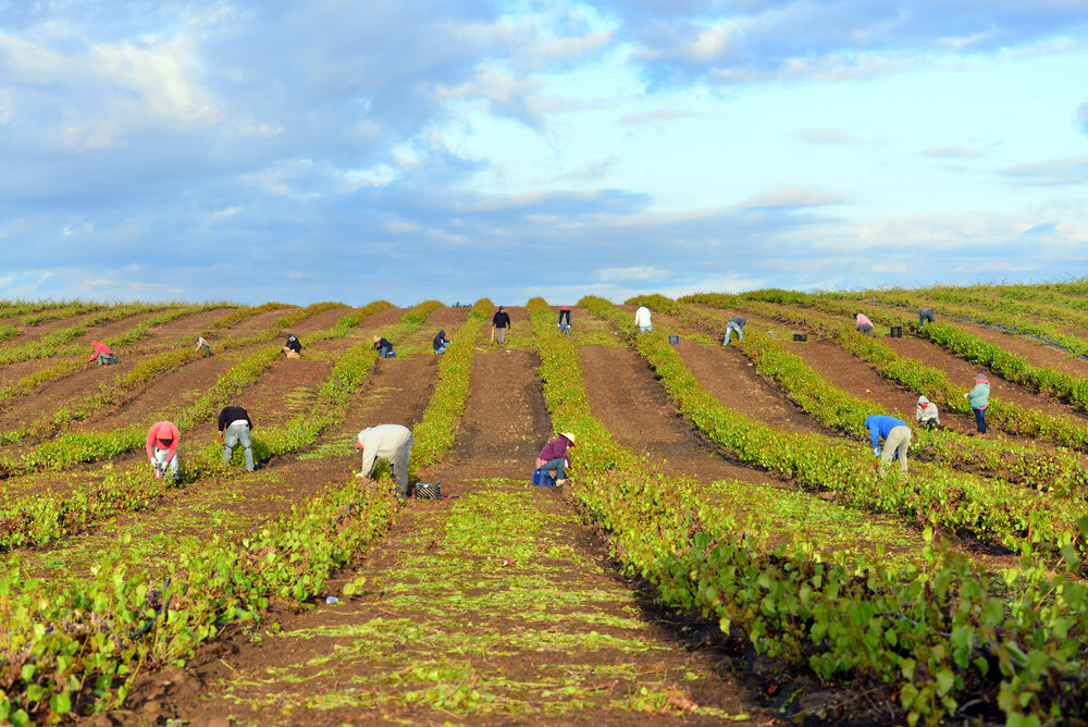 اقتصاد مدور و بازیافت مکمل یکدیگر در بهرهوری حداکثری از منابع و انرژی