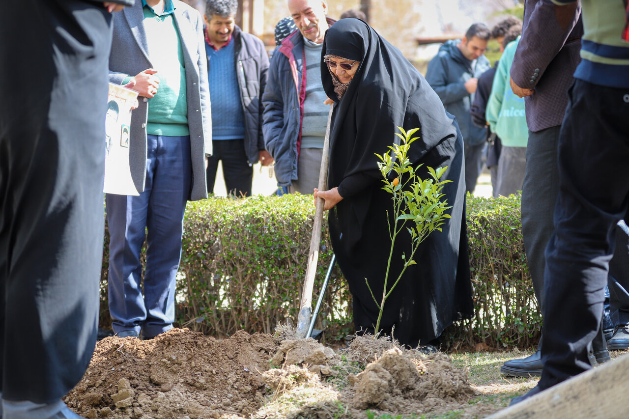 کاشت ۱۰ اصله نهال مثمر در دبیرستان هنرهای زیبا
