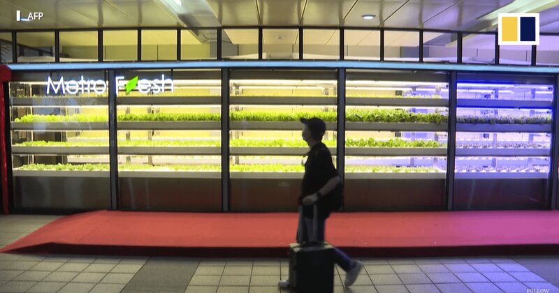 ابتکار خلاق تایوان در تبدیل ایستگاه‌های مترو به مزارع عمودی