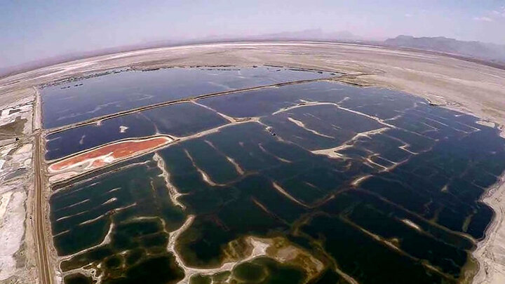 تیغ دولبه حیات تالاب میقان؛ از ظرفیتهای اکوتوریستی تا تهدیدات زیستمحیطی تیغ دولبه حیات تالاب میقان؛ از ظرفیتهای اکوتوریستی تا تهدیدات زیستمحیطی