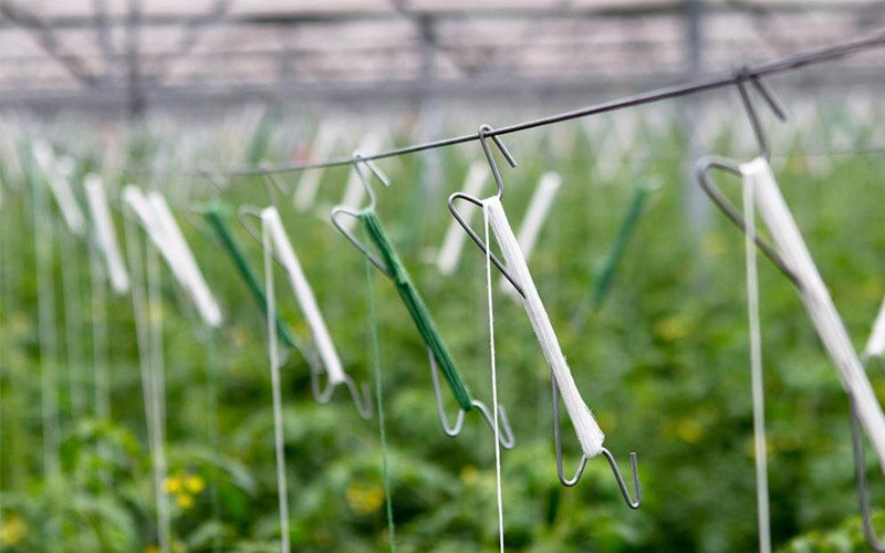 بررسی کاربرد انواع نخهای کشاورزی