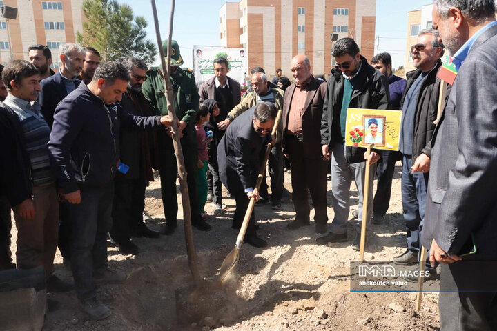 کاشت نهال در شهرک کوثر اصفهان