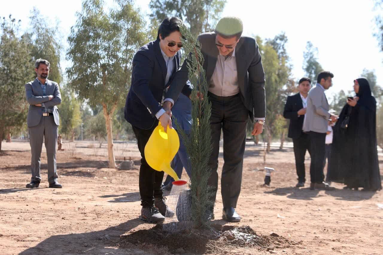 درختکاری سفرای کشورهای عضو اکو و ACD در یزد + عکس