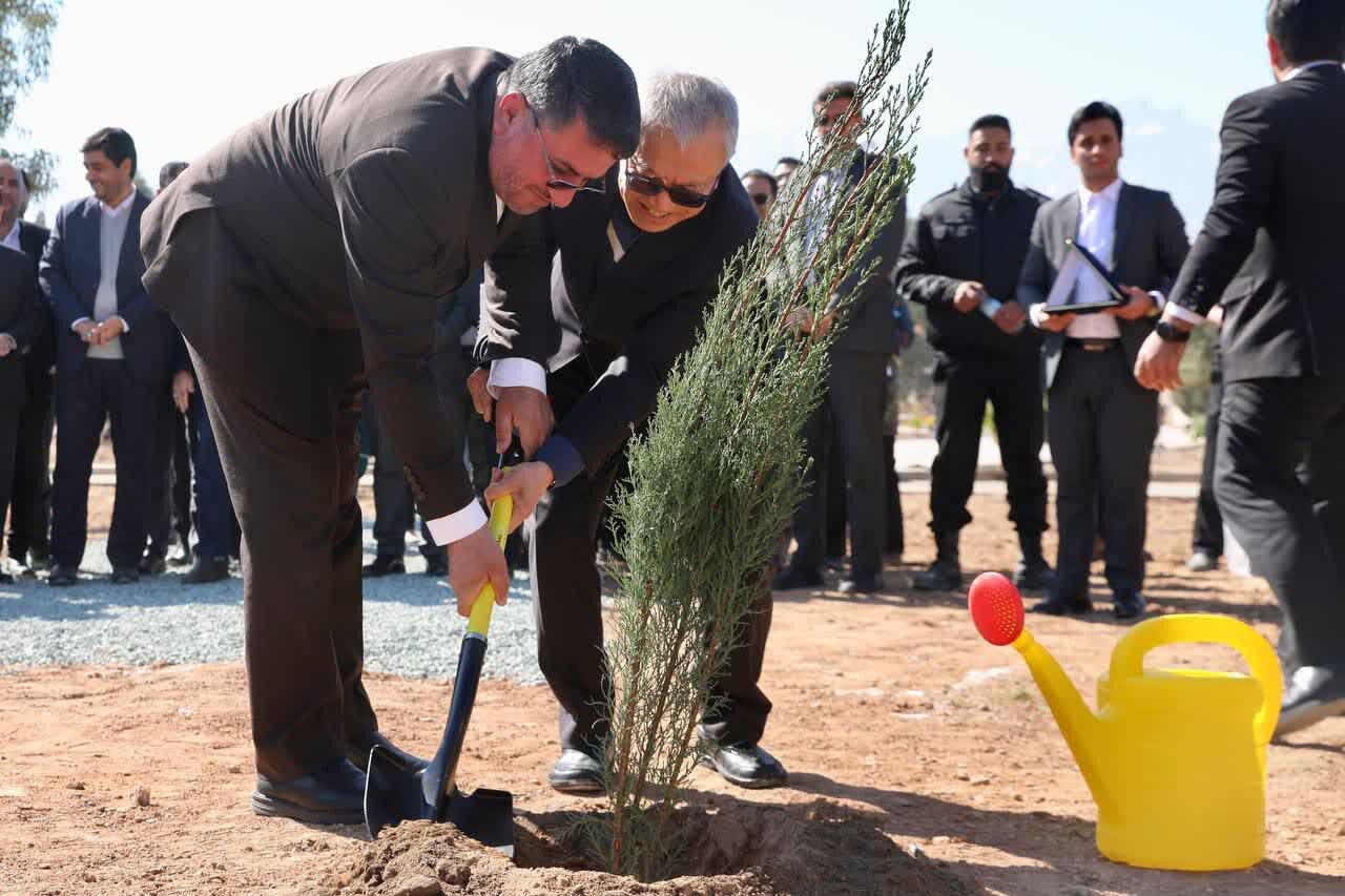 درختکاری سفرای کشورهای عضو اکو و ACD در یزد + عکس