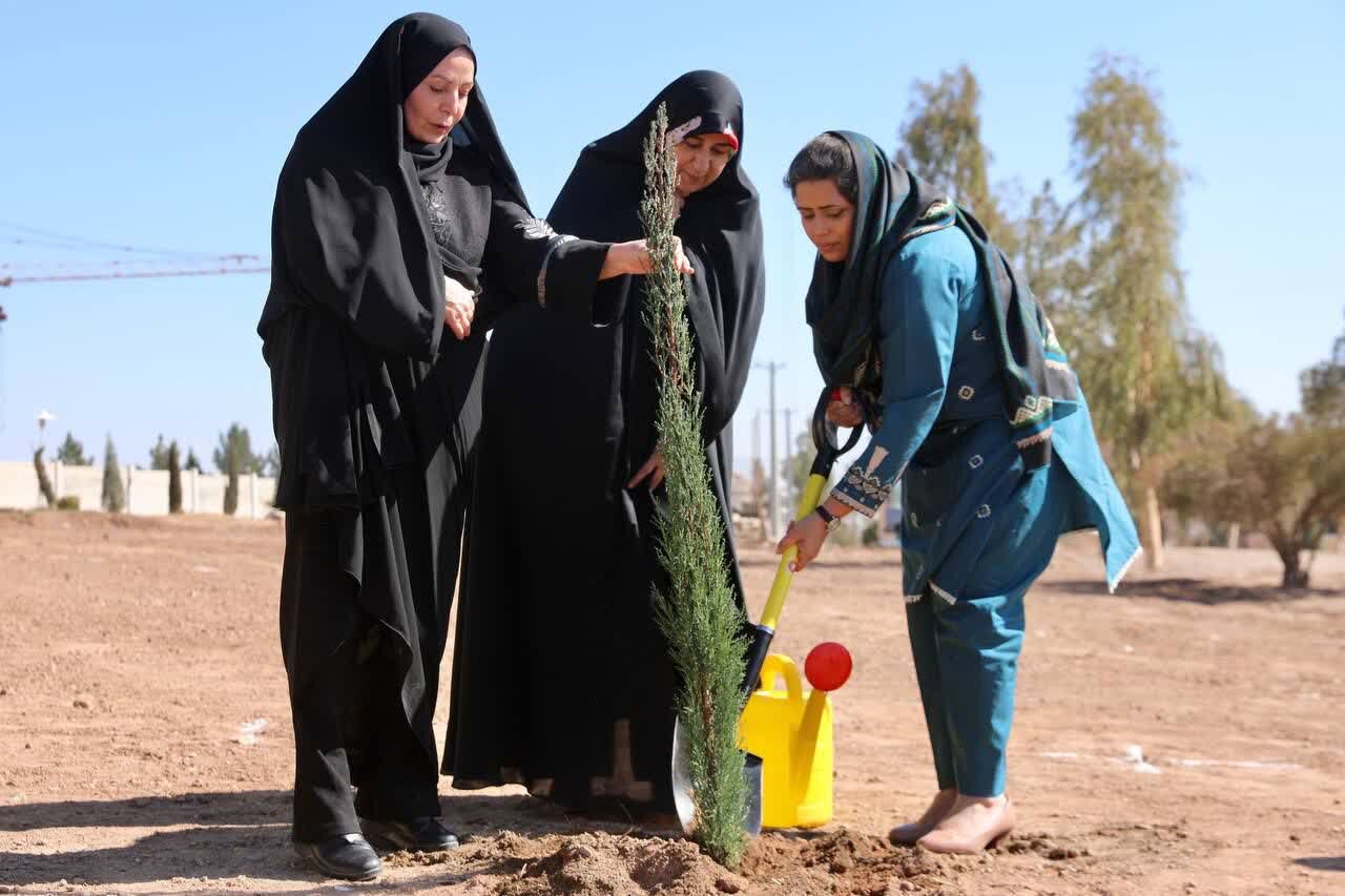 درختکاری سفرای کشورهای عضو اکو و ACD در یزد + عکس