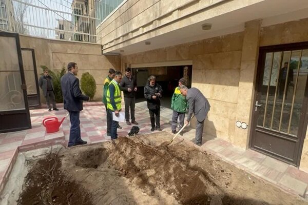 اجرای طرح «خانه سبز» در تبریز آغاز شد