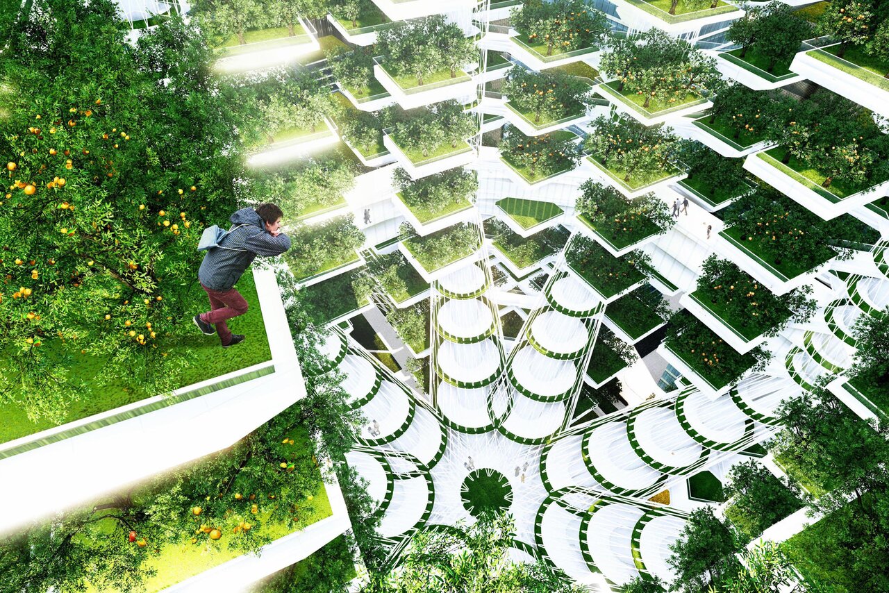 تنوع در فضای عمومی با گلخانههای شهری