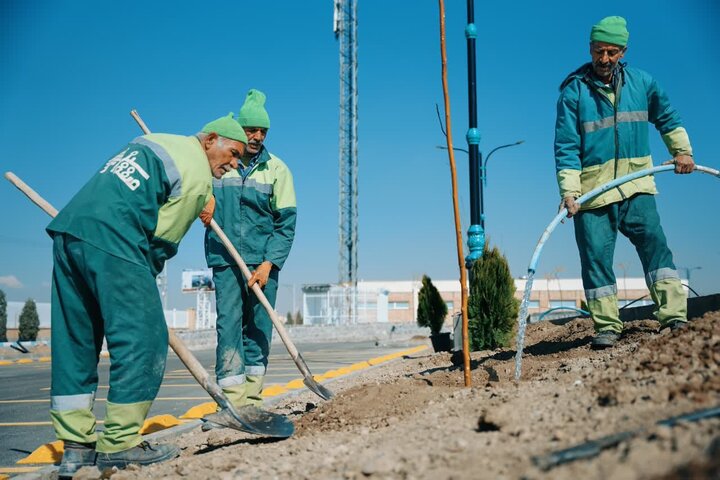 شهرداری بجنورد ۵۰ هزار درخت کاشت