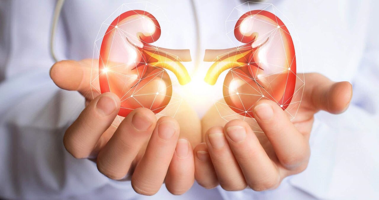 تاثیر مستقیم تغذیه بر ایجاد سنگهای کلیوی