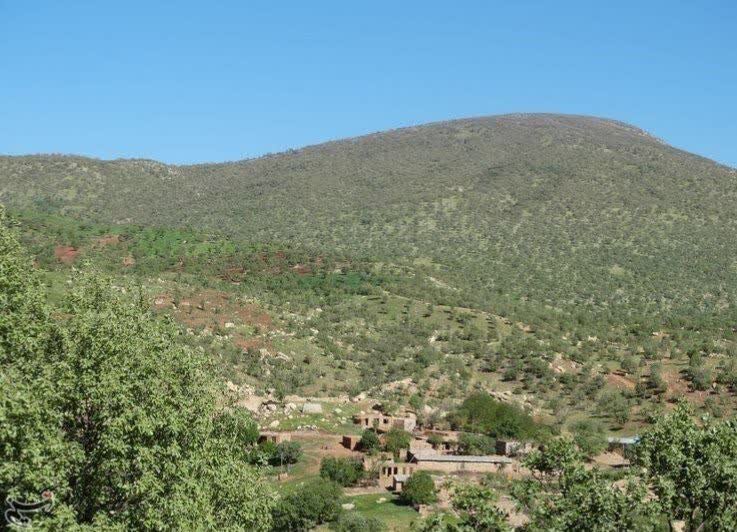 اتمسر سبز؛ قربانی بی توجهی به قوانین جنگلها