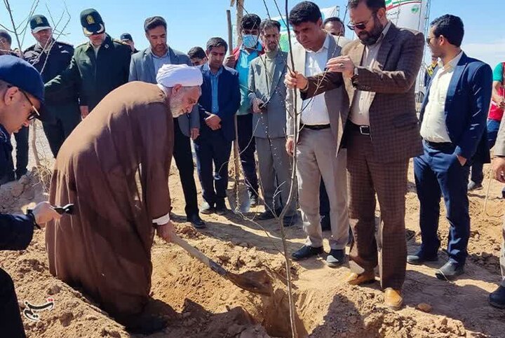 کاشت بیش از ۹ میلیون نهال در استان کرمان