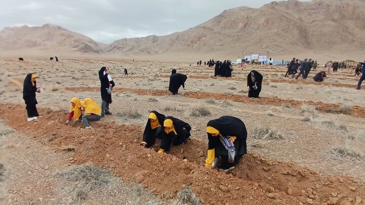 کاشت بیش از ۶۵۰۰ هکتار درخت در استان اصفهان