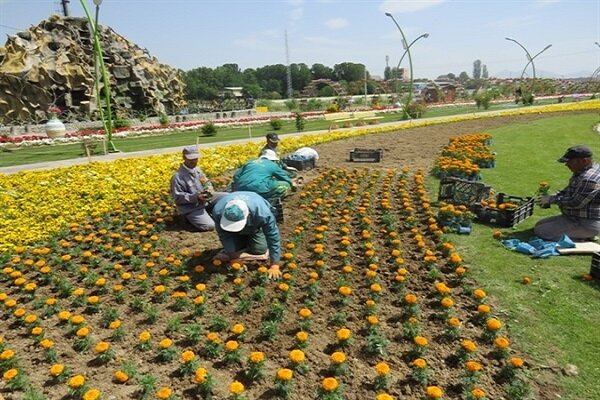 ۸۰ کارگر شهرداری زنجان به ردیاب مجهز می‌شوند
