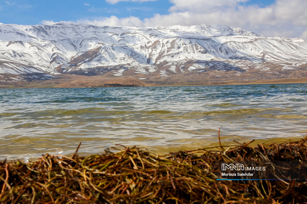 تالابها یکی از نابترین اکوسیستمهای طبیعت ایران