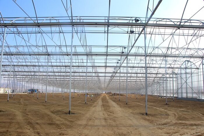 جوانه زدن نهال سرمایهگذاری در منطقه آزاد ارس