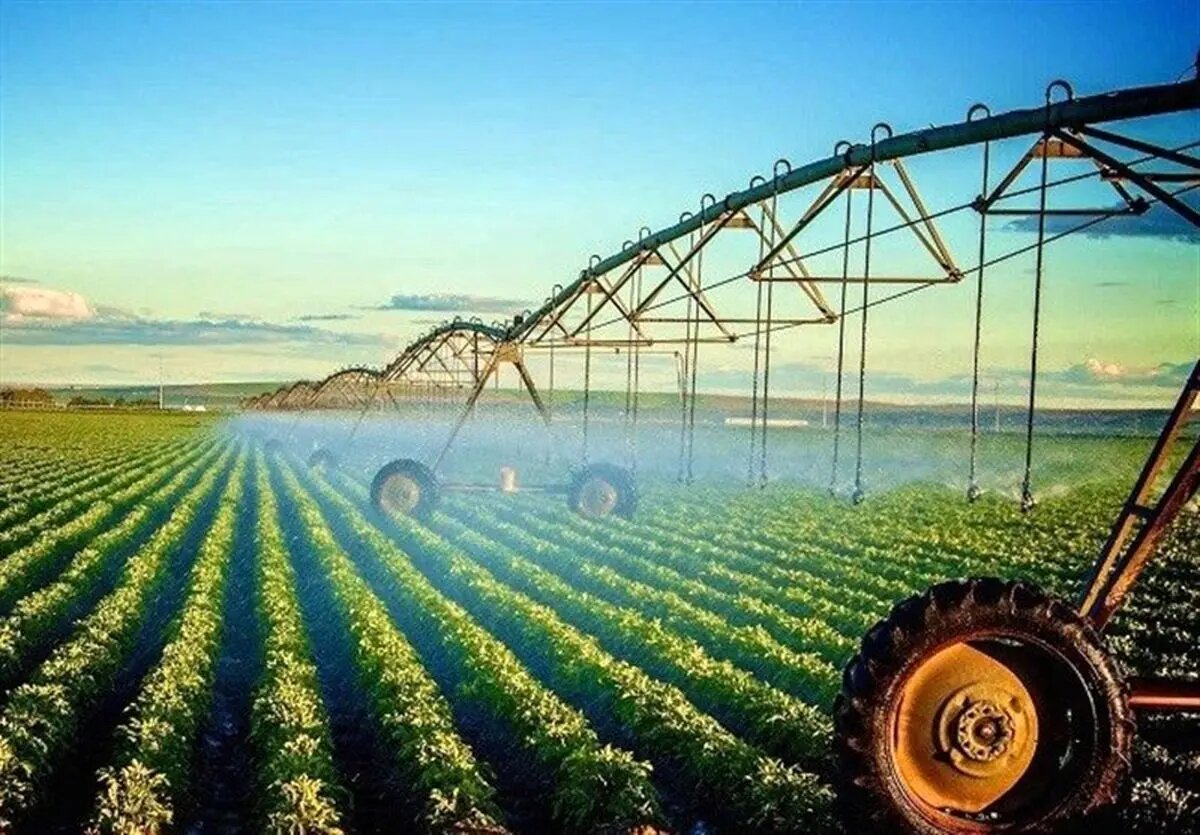 تولید حدود ۷ میلیون تن محصول کشاورزی طی سال گذشته در تهران