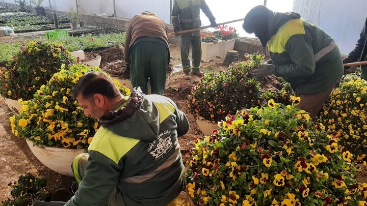 کاشت ۱۳۰ هزار گلدان گل‌ بهاری در منطقه ۱۲ اصفهان/ستاد «کیمیا» مهیای استقبال از مسافران است