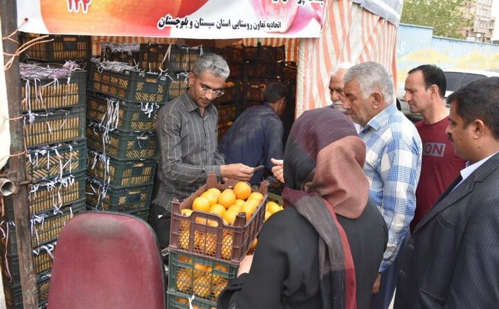 آغاز توزیع میوه تنظیم بازار شب عید سیستان و بلوچستان
