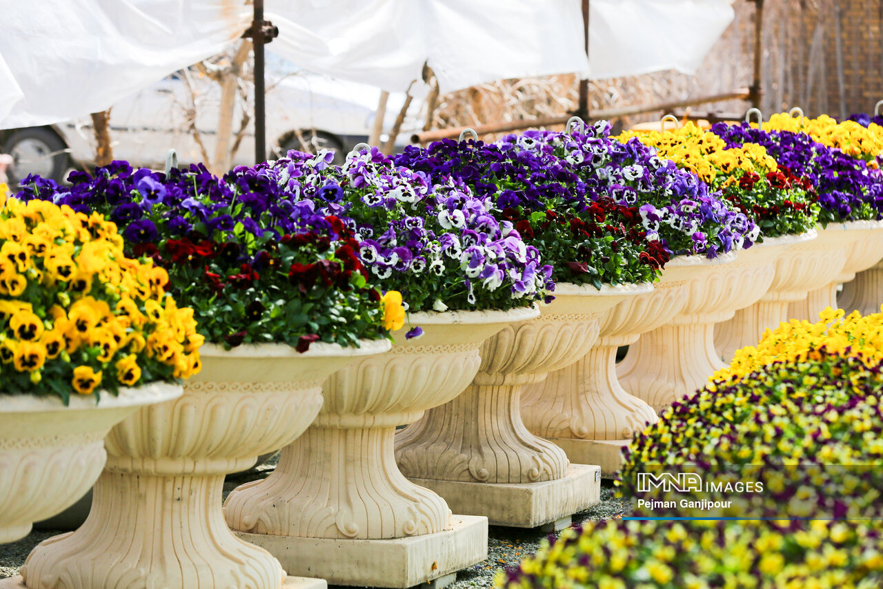 گام بلند شهرداریهای کشور در تولید گلوگیاه؛ تحقق شهرهای سبز در سایه خودکفایی