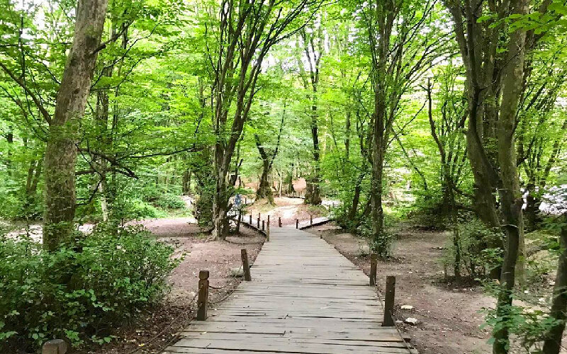 ممنوعیت ورود خودرو و موتورسیکلت در پارک جنگلی النگدره گرگان / خاطر طبیعت آسوده شد