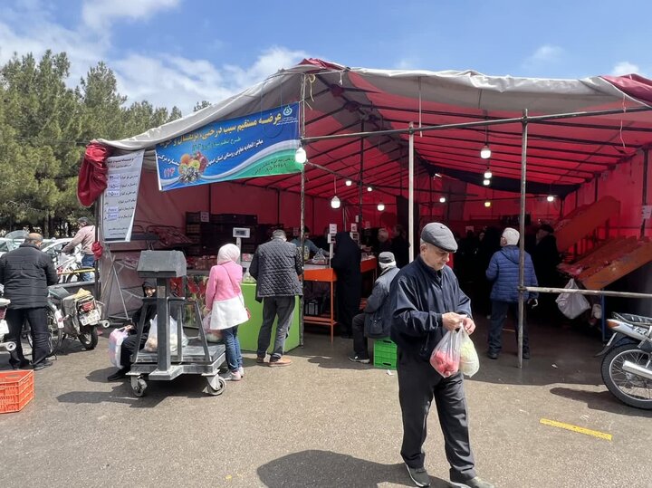 ایجاد ۱۵ مکان برای عرضه میوه شب عید در اصفهان/ توزیع گسترده اقلام مصرفی در بازارهای کوثر