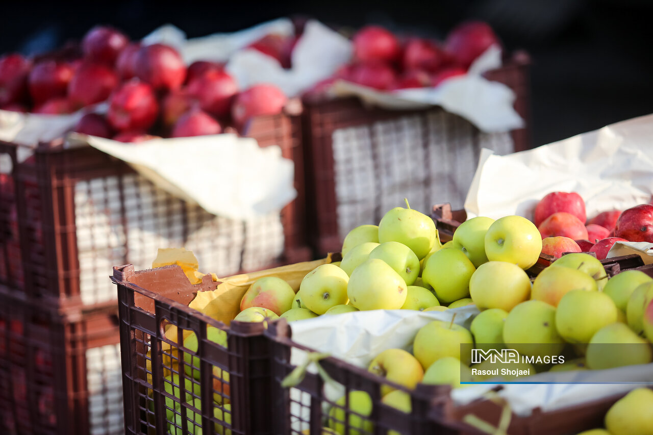 میوه های زمستانی