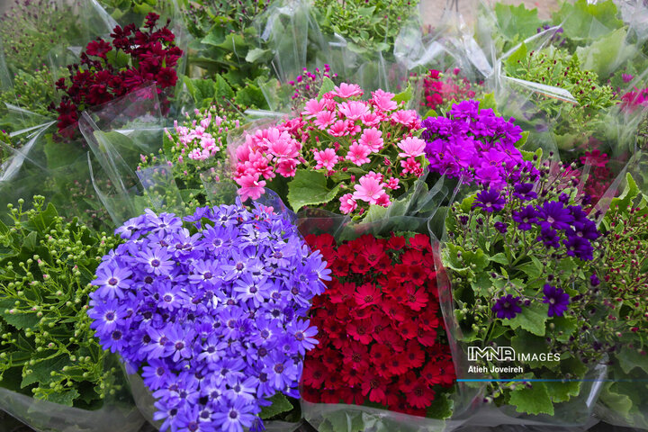 بازار پر رونق گل و گیاه در آستانه عید نوروز