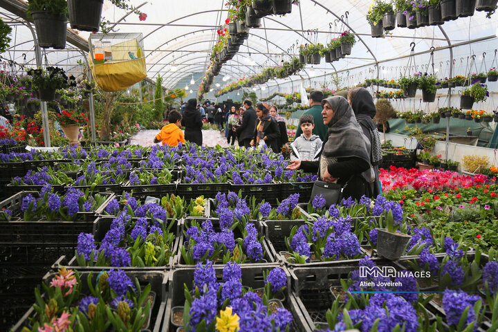 بازار پر رونق گل و گیاه در آستانه عید نوروز