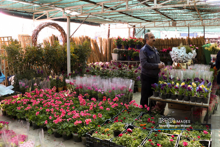 بازار گل مشهد
