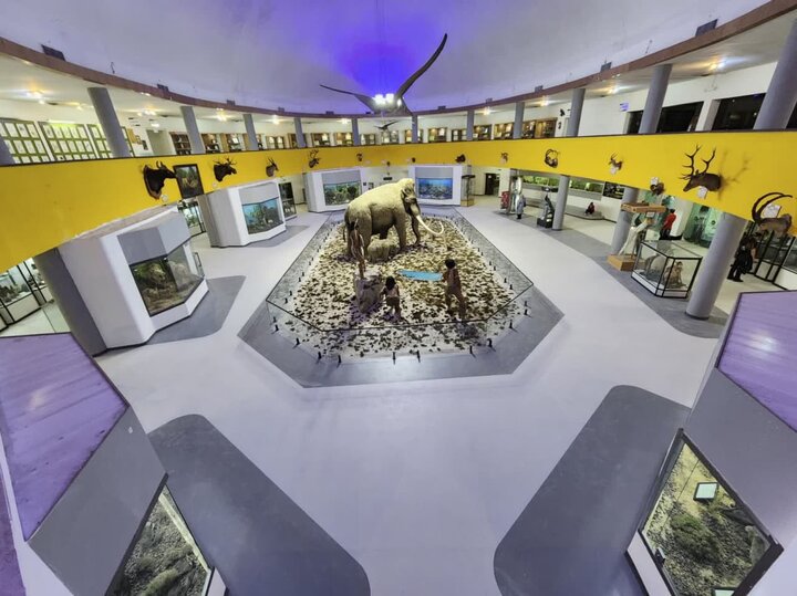 موزه تاریخ طبیعی و تکنولوژی دانشگاه شیراز بازگشایی شد