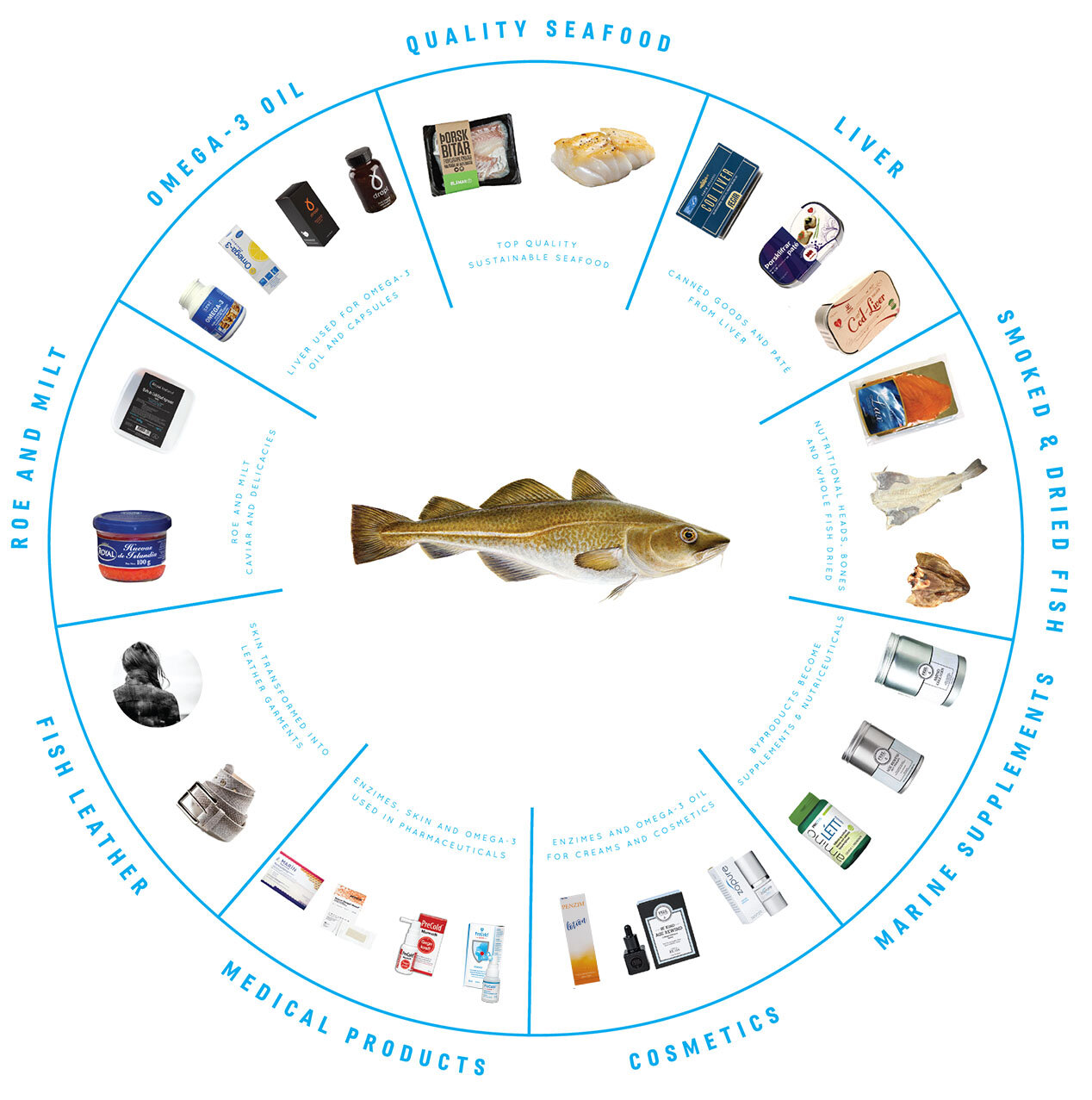 تبدیل ضایعات ماهی به مواد مصرفی پزشکی در ایسلند