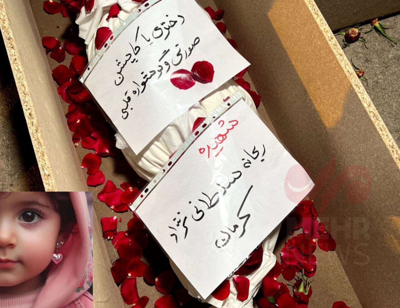 چهرههای خبرسال سال ۱۴۰۲ / از حضور مجید انتظامی بهروی صحنه تا دختر کاپشن صورتی