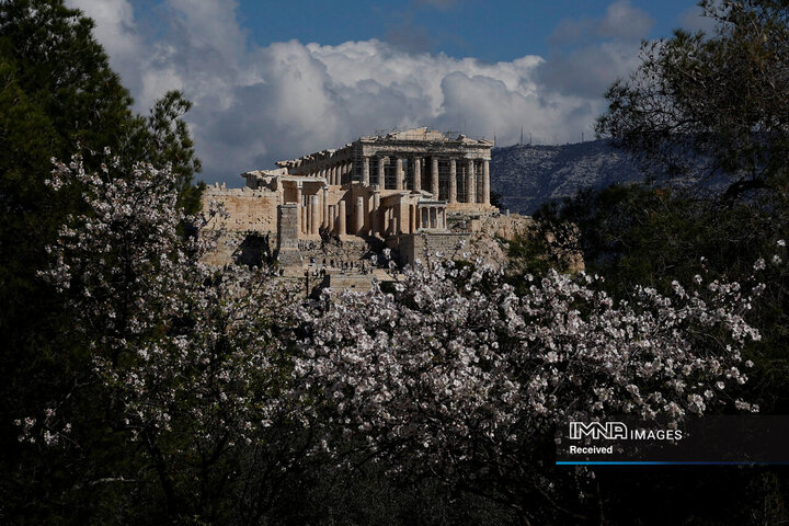 شکوفه‌های بادام در نزدیکی آکروپولیس، آتن، یونان