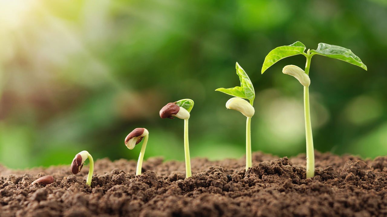 گام به گام برنامه ریزی درسی برای موفقیت در کنکور