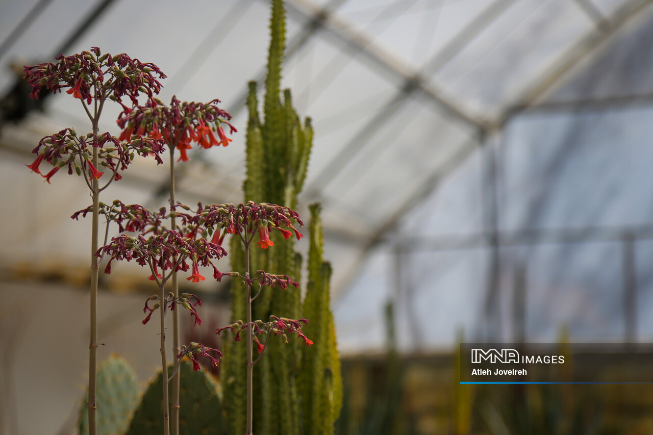 باغ گلها؛ گوشهای دنج از اصفهان