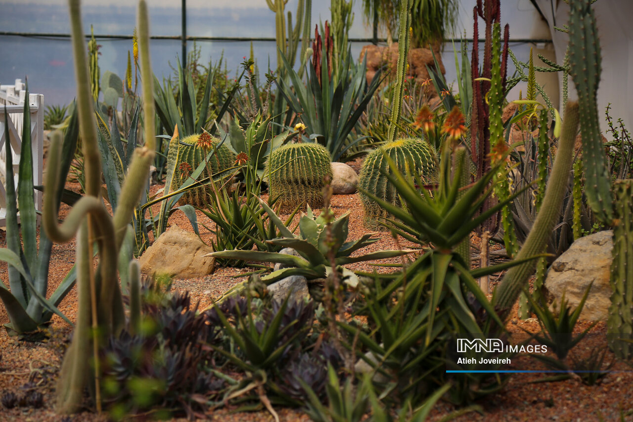 باغ گلها؛ گوشهای دنج از اصفهان