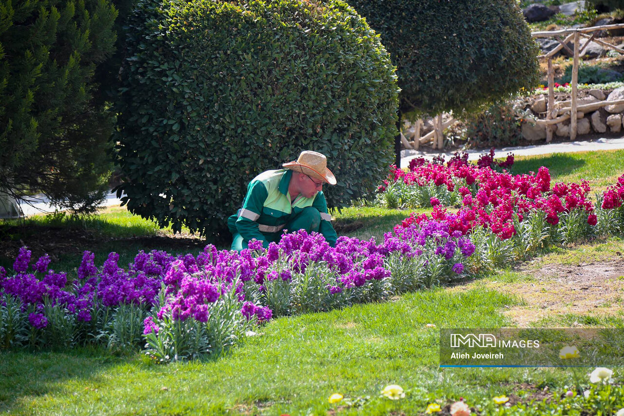 کاهش تنش آبی فضای سبز با احداث ۴ تصفیهخانه / ایجاد «اکوپارک» در مجاورت پالایشگاه اصفهان