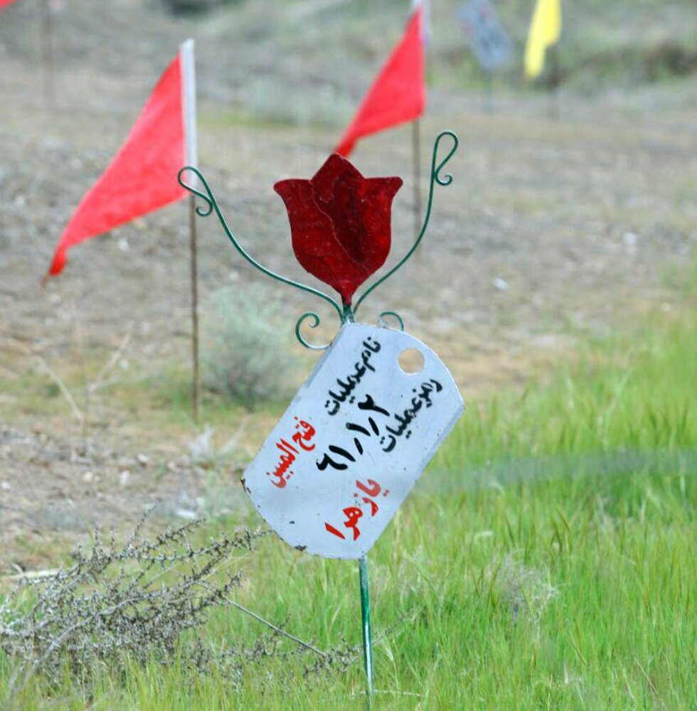 روایتی از سفره هفتسینهایی با سیمخاردار و سیمچین / عید را تبریک گفتند و روز بعد نبودند