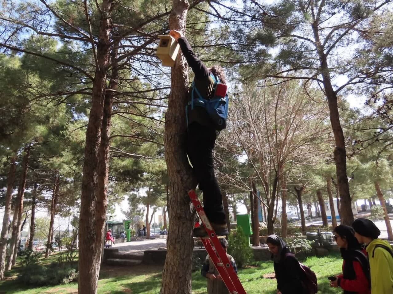 پرندگان در پارک کوهستانی صفه صاحبخانه شدند