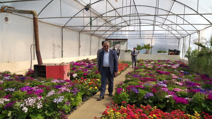 تولید و کاشت بیش از ۳ میلیون بوته گل به مناسبت عید نوروز در ارومیه