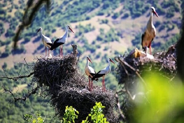 سرزمین جشنها، رنگها و آوازها شما را فرامیخواند