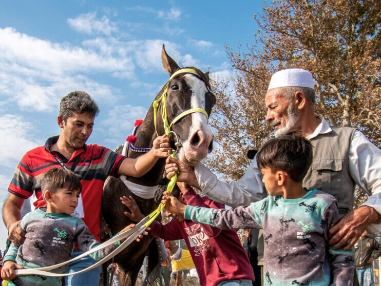 پاراگلایدر و سوارکاری؛ تجربه دو تفریح مهیج در سفر به گلستان