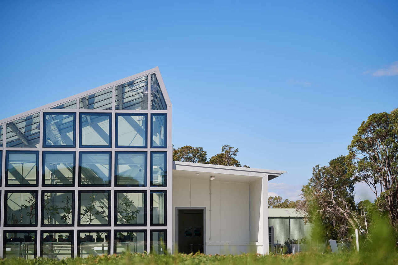 پنجرههای خورشیدی، انقلاب آینده در معماری شهری