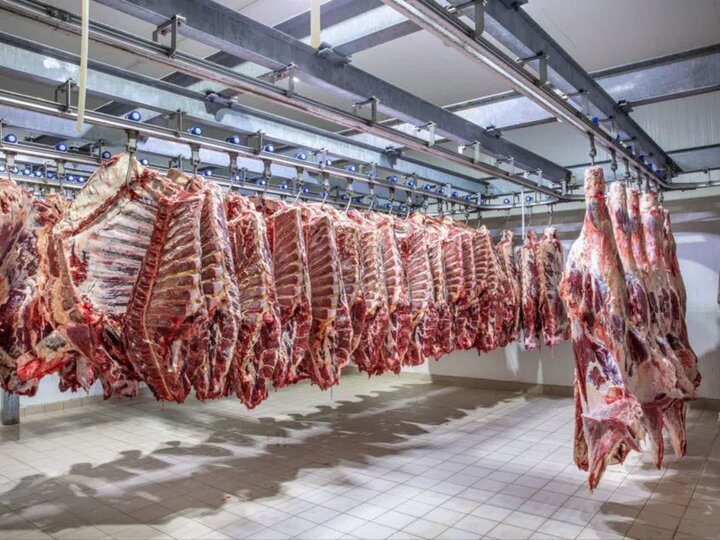 واردات ۲۰ تن گوشت گرم گوسفندی به استان یزد
