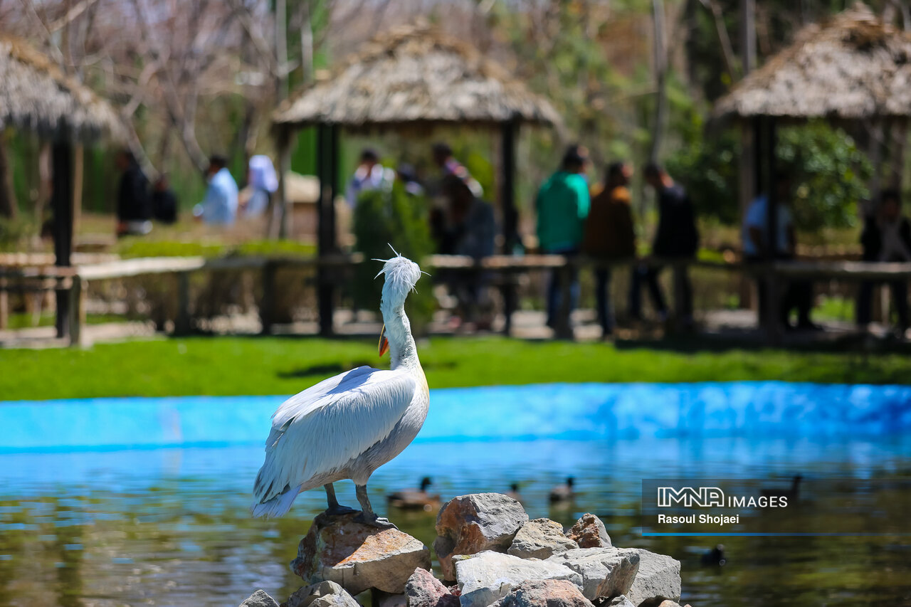 باغ پرندگان اصفهان، جلوهای بینظیر از همزیستی انسان و طبیعت