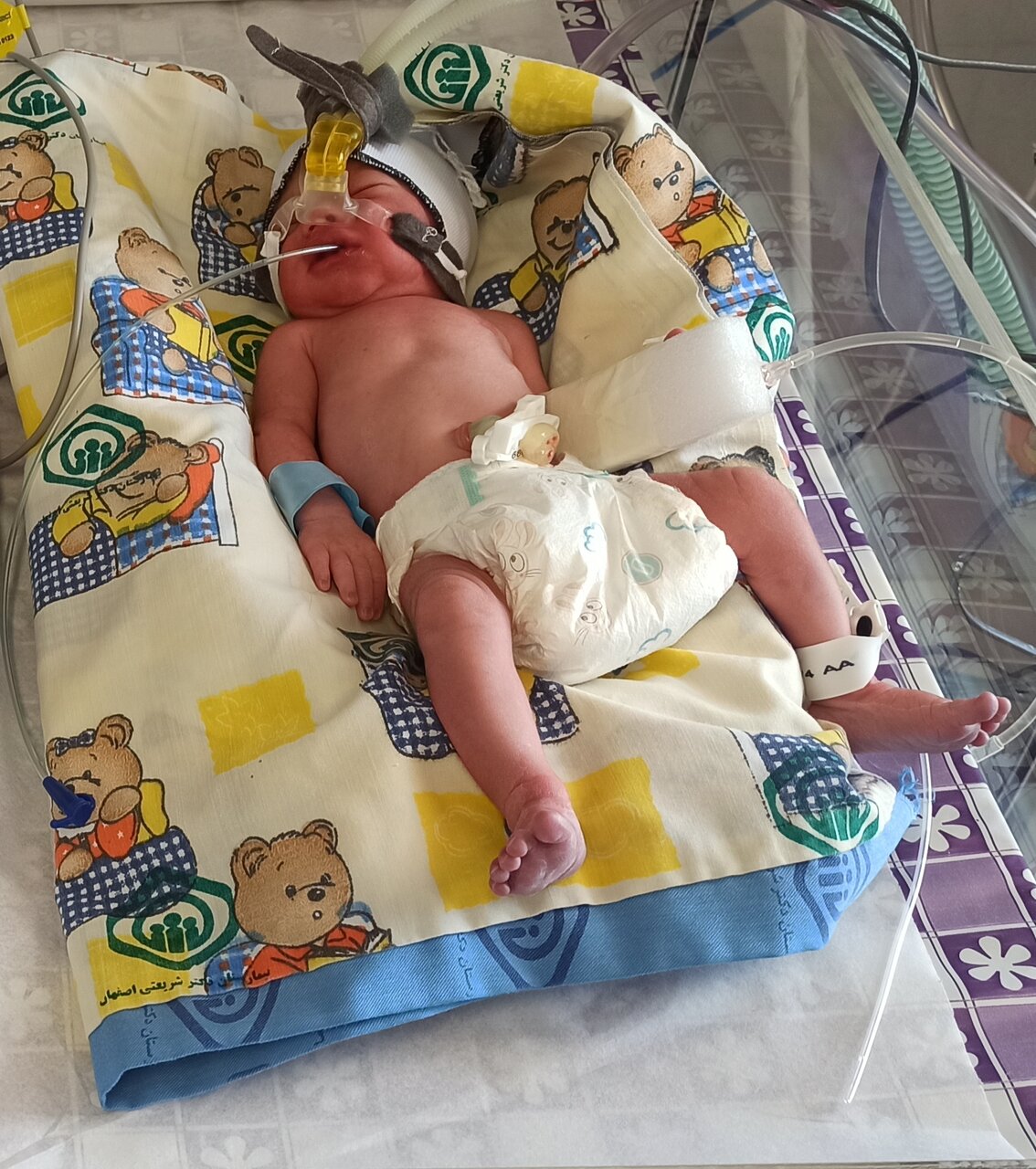 ثبت تولد اولین ۴ قلوهای اصفهانی در سال ۱۴۰۳ + عکس و اسامی نوزادان